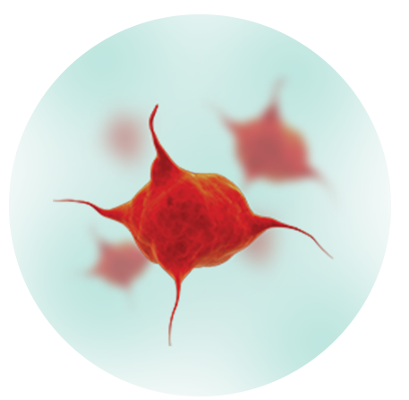 IgG MOA in chronic ITP is complex