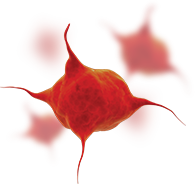 IgG MOA in chronic ITP is complex