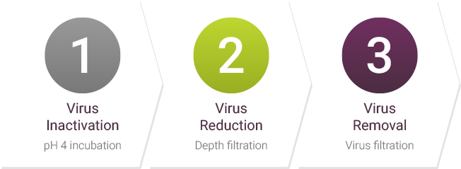 3 Step virus inactivation process